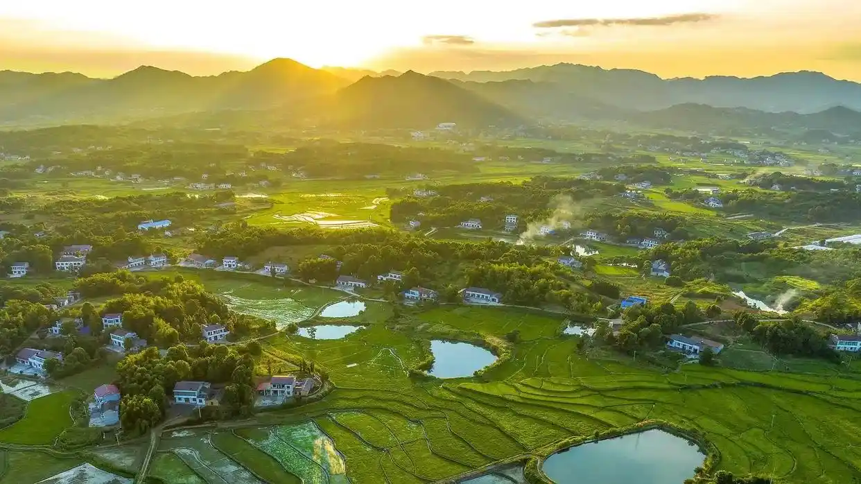 中国式现代化 农业农村现代化 因地制宜 乡村全面振兴 农业新质生产力 科技创新 乡村建设实施机制 宜居宜业和美乡村建设 资源禀赋 比较优势 差_推进乡村全面振兴