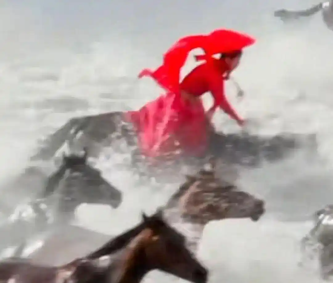 贺娇龙所有直播打赏均用于公益_贺娇龙所有直播打赏均用于公益_贺娇龙所有直播打赏均用于公益