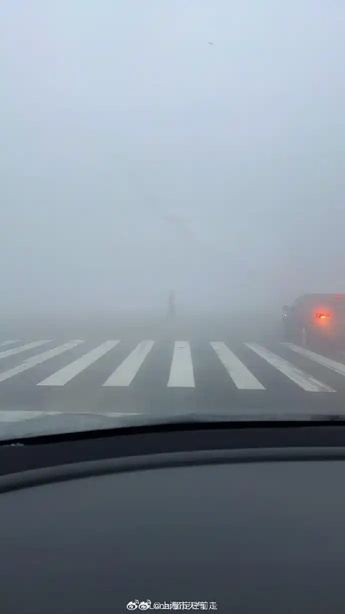上海大雾预警_上海大雾天气_上海大雾