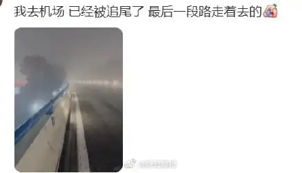 上海大雾天气预警_上海大雾能见度不足100米_上海大雾