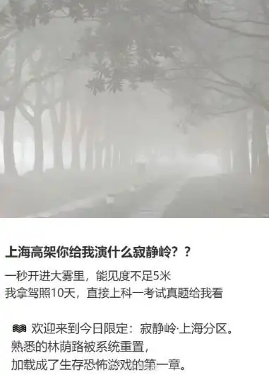 上海大雾天气预警_上海大雾_上海大雾能见度不足100米