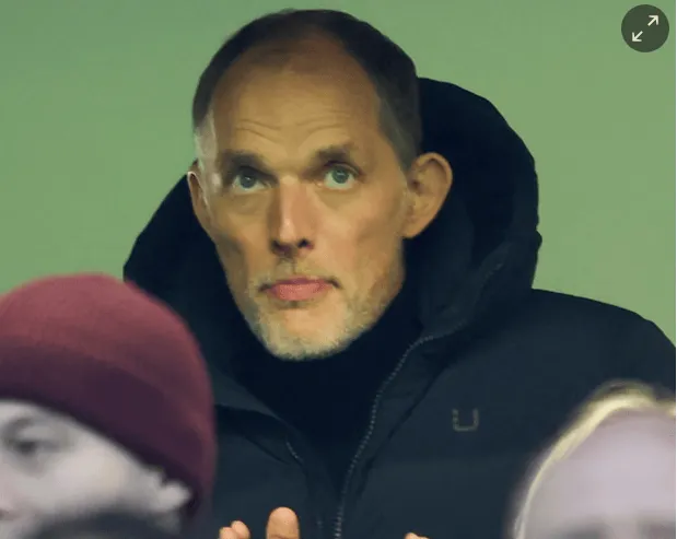 图赫尔：英格兰最终世界杯名单会考虑球员关系，及社交能力