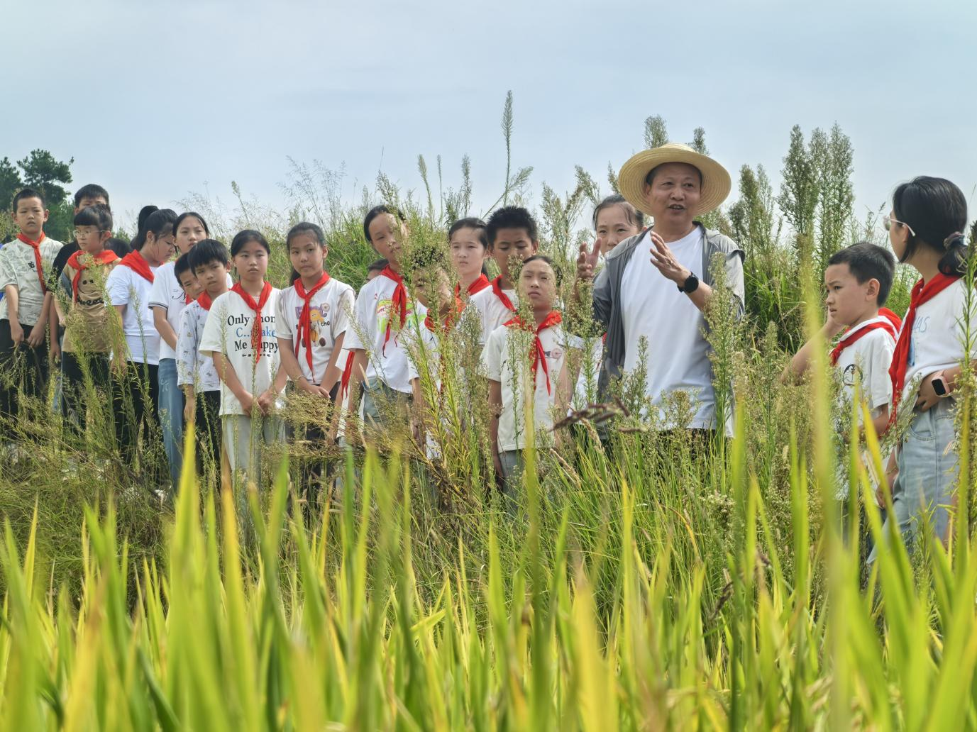 重庆大阳小学“五美教育”：以特色课程赋能乡村小规模学校高质量发展