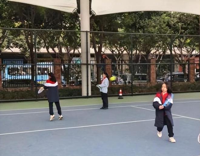 乒乓球比赛规则的定义_乒乓球分组比赛规则_乒乓球规则赛制