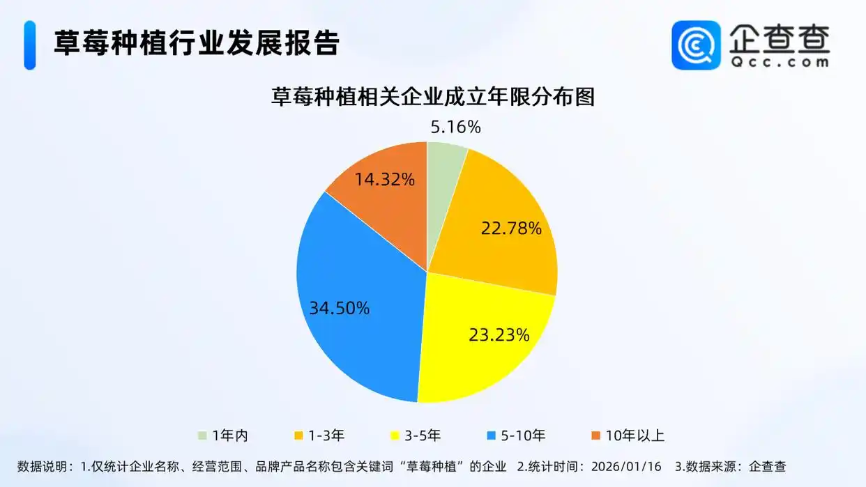 黑草莓价格高_一斤售价300多元的黑草莓走红_草莓种植企业分布
