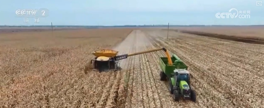 观察·供给丰富、安居乐业、向新向智 “数”览2025年农业农村发展“成绩单”