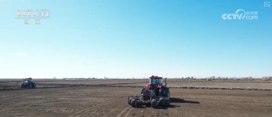 2025年农业农村发展情况_2026农业农村经济运行成绩单来了_粮食产量再创新高