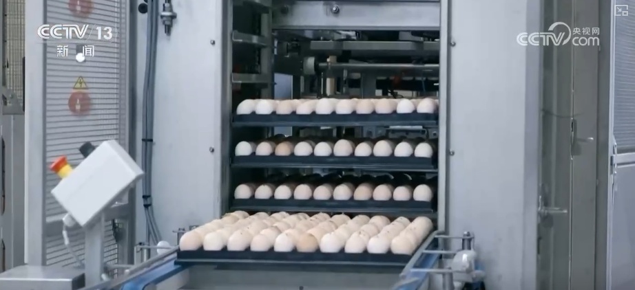 2025年农业农村发展情况_粮食产量再创新高_2026农业农村经济运行成绩单来了