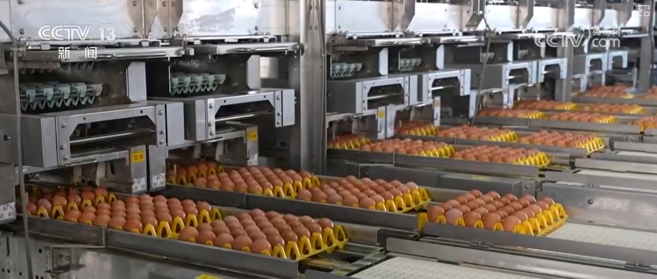 粮食产量再创新高_2025年农业农村发展情况_2026农业农村经济运行成绩单来了