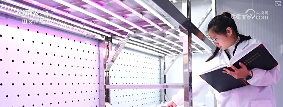 2026农业农村经济运行成绩单来了_粮食产量再创新高_2025年农业农村发展情况