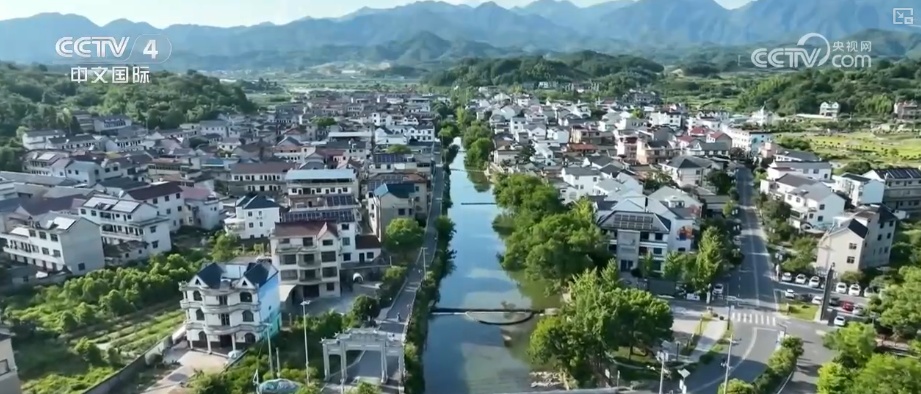 粮食产量再创新高_2025年农业农村发展情况_2026农业农村经济运行成绩单来了