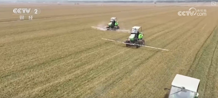 2026农业农村经济运行成绩单来了_粮食产量再创新高_2025年农业农村发展情况