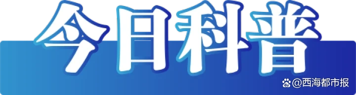 辟谣长晋高速大客车侧翻谣言_长晋高速客车侧翻致2死6伤系谣言_辟谣青岛黄岛区高中生械斗AI生成信息