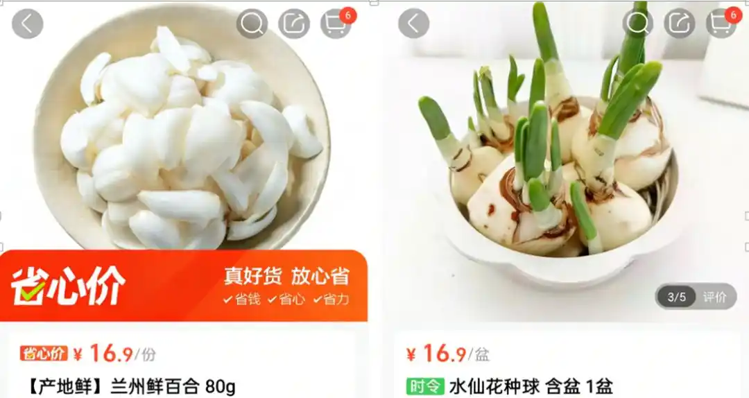 鲜百合误送成水仙球致祖孙中毒,盒马致歉