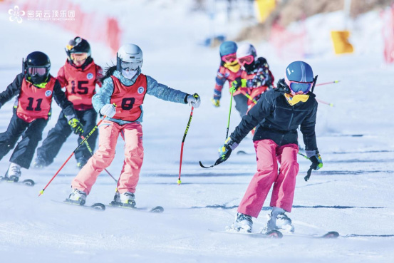 北京冬奥会雪上场馆_云顶滑雪公园_北京冬奥会申办成功